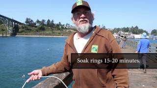 How To Go Crabbing in Oregon