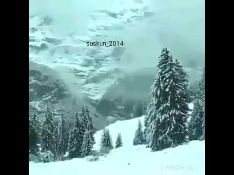 Axtar Meni Darixanda Mp3 Images Səkillər