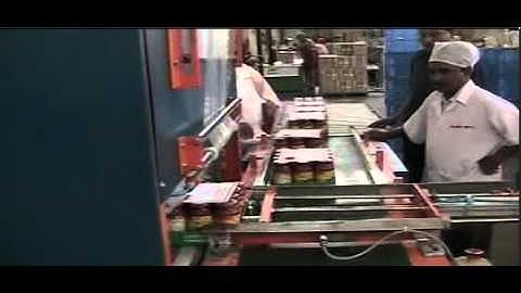 Web sealer ascent packaging Systems, Wagholi, PUNE