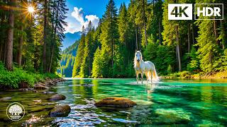 Completely Relax with This Soft Music 🌿 Stress Relief and Deep Sleep screenshot 5