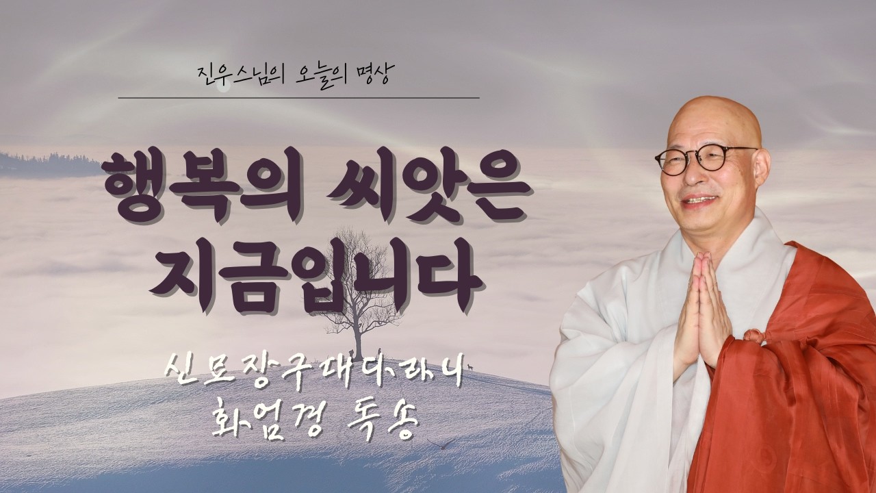 행복의 씨앗은 어디에서 오는가? - 신묘장구대다라니송 - 화엄경 독송 #오늘의명상#진우스님#인과법#마음공부