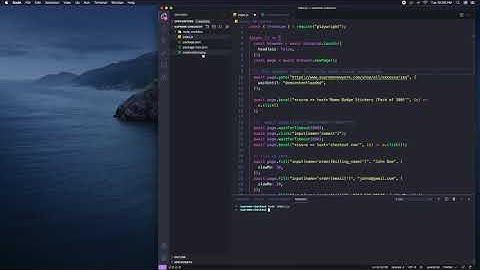 Supreme checkout bot (simple version)