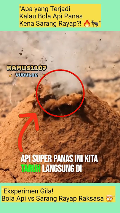 Tak Disangka… Bola Api Ini Bikin Sarang Rayap Begini 😱🔥' #shorts #trrndingshorts #fypviral