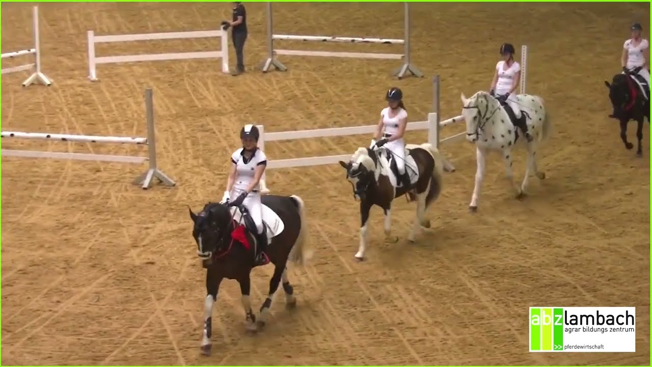 Pferdewirtschaft - das Original seit 1991