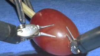 da Vinci Surgical System: Surgery on a grape screenshot 5