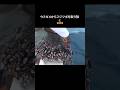 ウミガメからフジツボを取り除く Part 1 #shorts