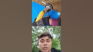 technology#youtubeshorts #trending #automobile #bamboo1 #viralvideo #video #experiements #shorts