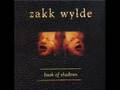 Zakk Wylde - Sold my Soul   (sdmf)