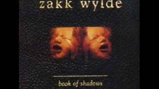 Zakk Wylde - Sold my Soul   (sdmf) chords