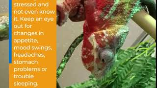 Chameleons and Change