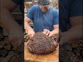 “Smoky Fire-Pit Roast 😱🔥” #shorts