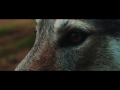 Alphawolves  bayonets official teaser