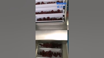 Red dates packing system,conveying/inclined conveyor, multi-head weigher/combination scale