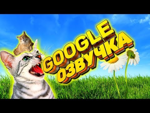 Лютые приколы. Я не ТОЛСТЫЙ !!!