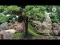 THE AMAZING VIEW OF NANLIAN /TOURIST SPOT OF HONGKONG @majayvlogsmajay3524
