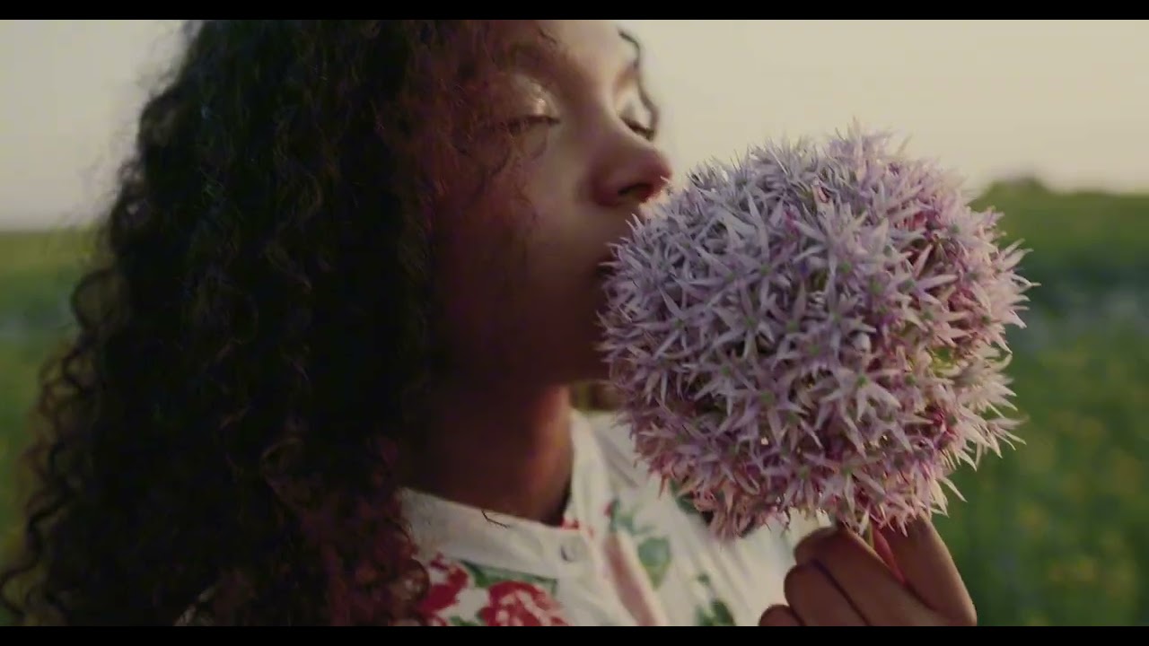 جمال الطبيعة لحظات استرخاء وسط الغابات والجبال 