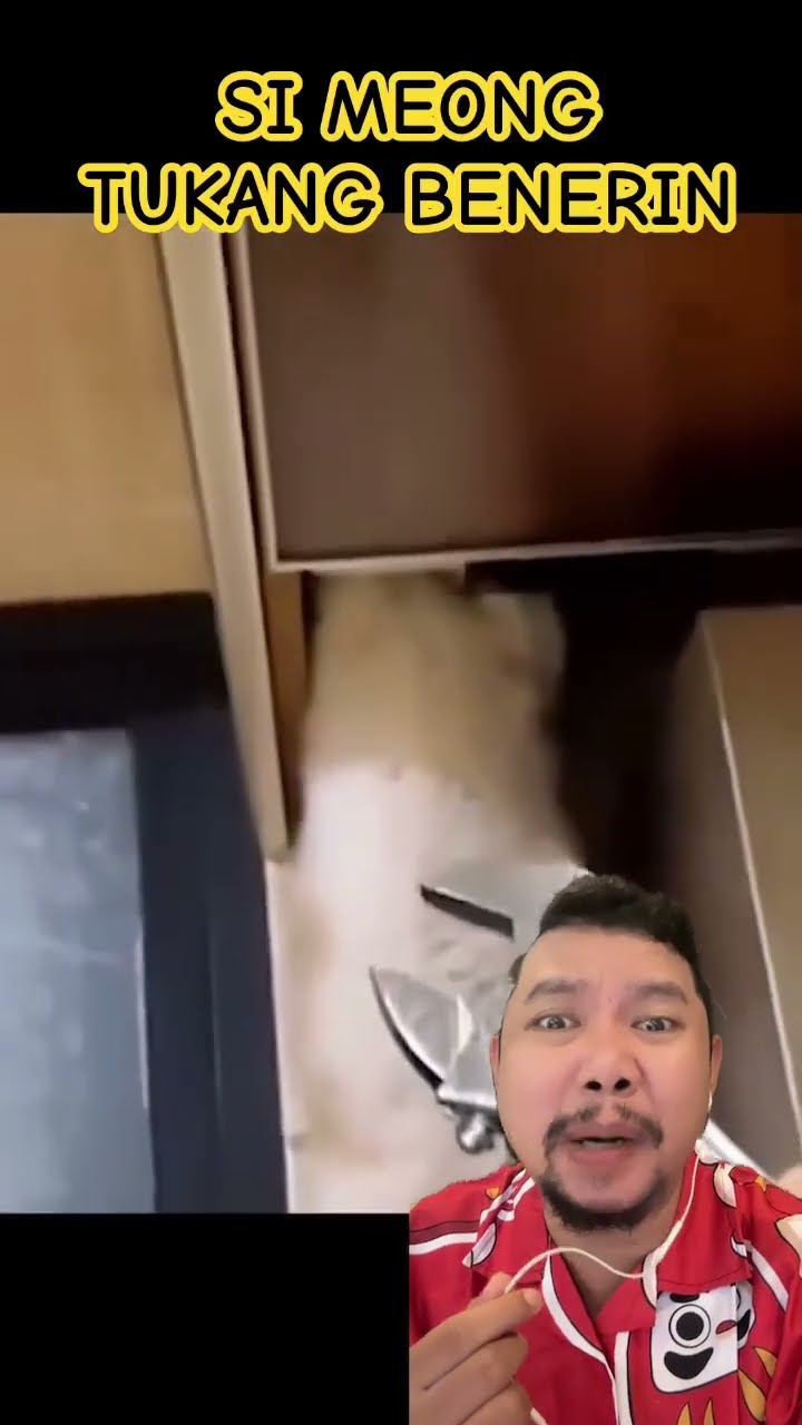 SI MEONG JAGO BENERIN RUMAH!!?? #shortsfeed #funny #comedy