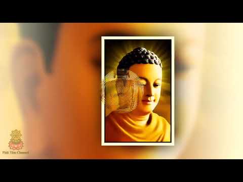 Video Nhạc Niệm Phật 4 chữ A Di Đà Phật Nghe là thanh tịnh... - youtube
