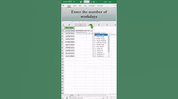 How to Use the WORKDAY.INTL Function in Excel