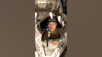 Did a Soldier Really Hide in a Crocodile 🐊