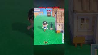 ACNH Short 21: Pitfall Seed #shorts