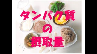 プロテイン／タンパク質の摂取量は？