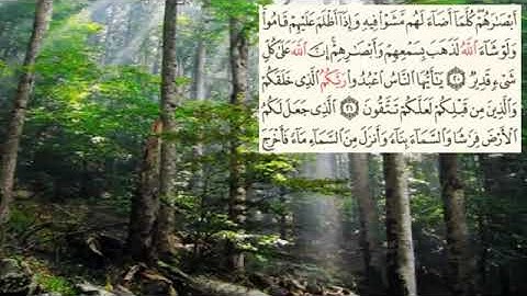 سعد الغامدي الصفحه 4 سوره البقره