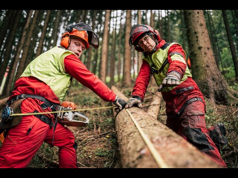 Video: Was sind die Grundsätze der Waldbewirtschaftung?