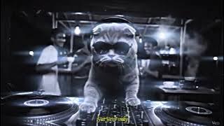 DJ RINDUNYA HATIKU SLOW BASS YANG LAMA LAMA BADAN GOYAG YANG KALIAN CARI DI TIKTOK 2025