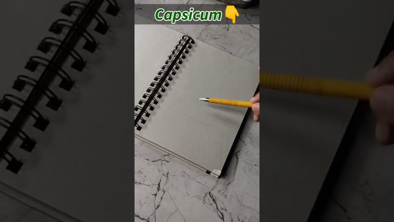 Realistic Capsicum Outline Tutorial ✅ 