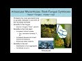 Dr. Mary Barbercheck - Metarhizium Fungi Impact On Agriculture