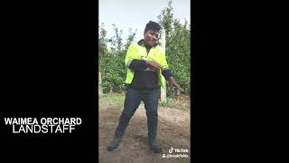 LANDSTAFF RSE CREW | \