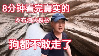 鐵牛旅行記408集/8分鐘帶你看完，新疆羅布泊無人區大裂谷真實情況，連馬犬石榴聽到風聲都不走了。#狗是人类最忠诚的朋友 #環遊中國 #房車旅行 #新疆自驾游 #艾倫