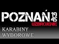 Karabiny wyborowe - "Poznań 1945 - uzbrojenie"