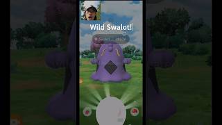 I found a WILD #Swalot in #PokemonGo  !
