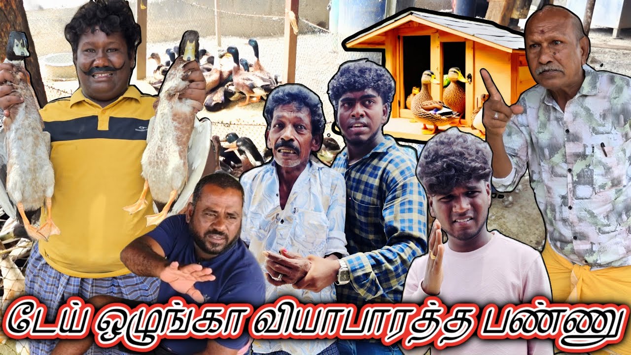 வாத்து கடையில என்ன ஒரு ஃபிராடு தனம் வாத்து அலப்பறை | Pana Matta