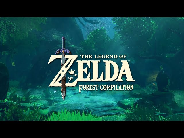 Relaxing Zelda Music in the Forest class=