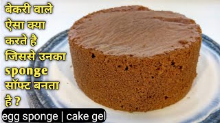 Chocolate cake | Chocolate sponge cake| Basic cake recipe  | Chocolate sponge with eggs | chef nitin