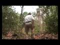 Angkor Etat des Lieux - extrait du 52 min