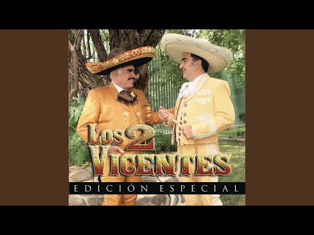 Vicente Fernandez - Me Llevaras En Ti