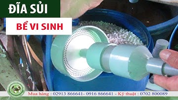 Làm sao? Để bể kanet đão điều |Đĩa sủi bể kanet | Đĩa sủi bể vi sinh hiệu quả
