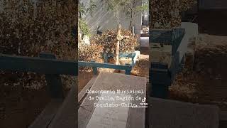 Cementerio Municipal de Ovalle, Región de Coquimbo-Chile.