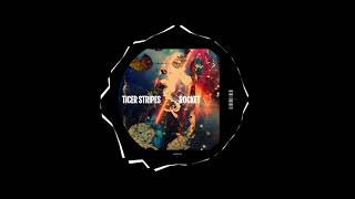 Tiger Stripes - Rocket (Original Mix)