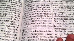 Bible study Exodus 14