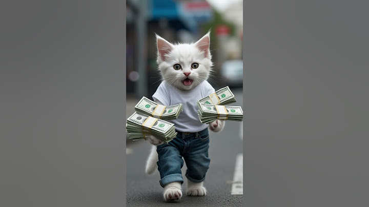 The cat has a lot of money for a new phone.😾📱 #cat #cute #kitten