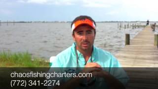 Celebrity Snook Fishing Stuart FL (772) 341-2274 Chaos Fishing Charters - Snook Fishing Stuart Florida Profile