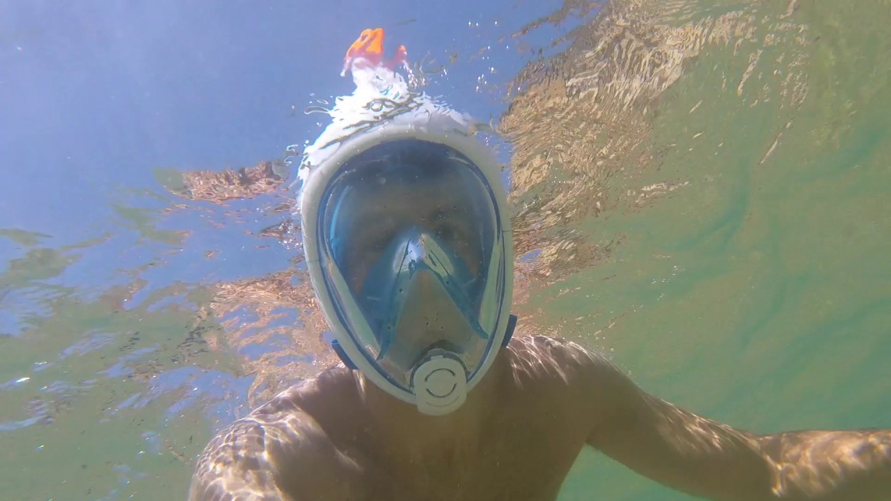 Snorkel en el Algarve (Lagos) YouTube