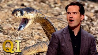 What Cobra Starts With A K? | QI