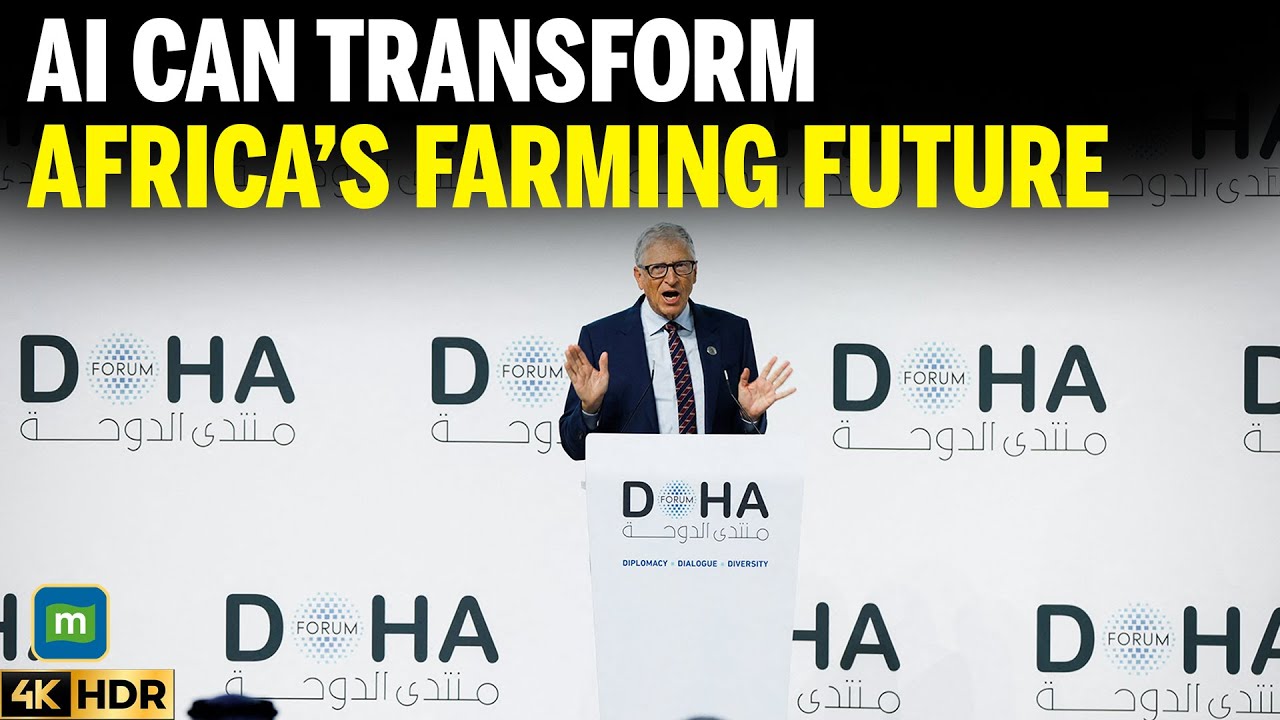 bill gates nets fish africa Bill Gates says AI could make Africa 'significant net food exporter' | 4K
