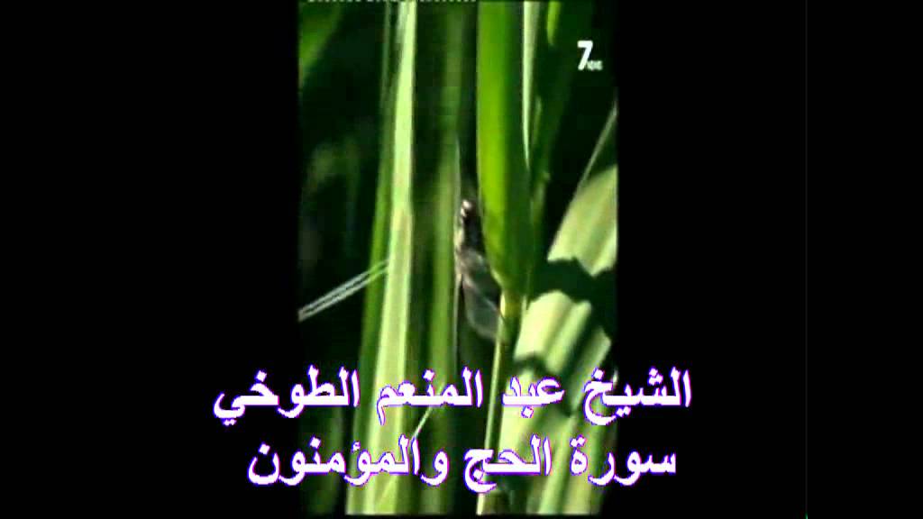 الشيخ عبد المنعم الطوخي الحج والمؤمنون